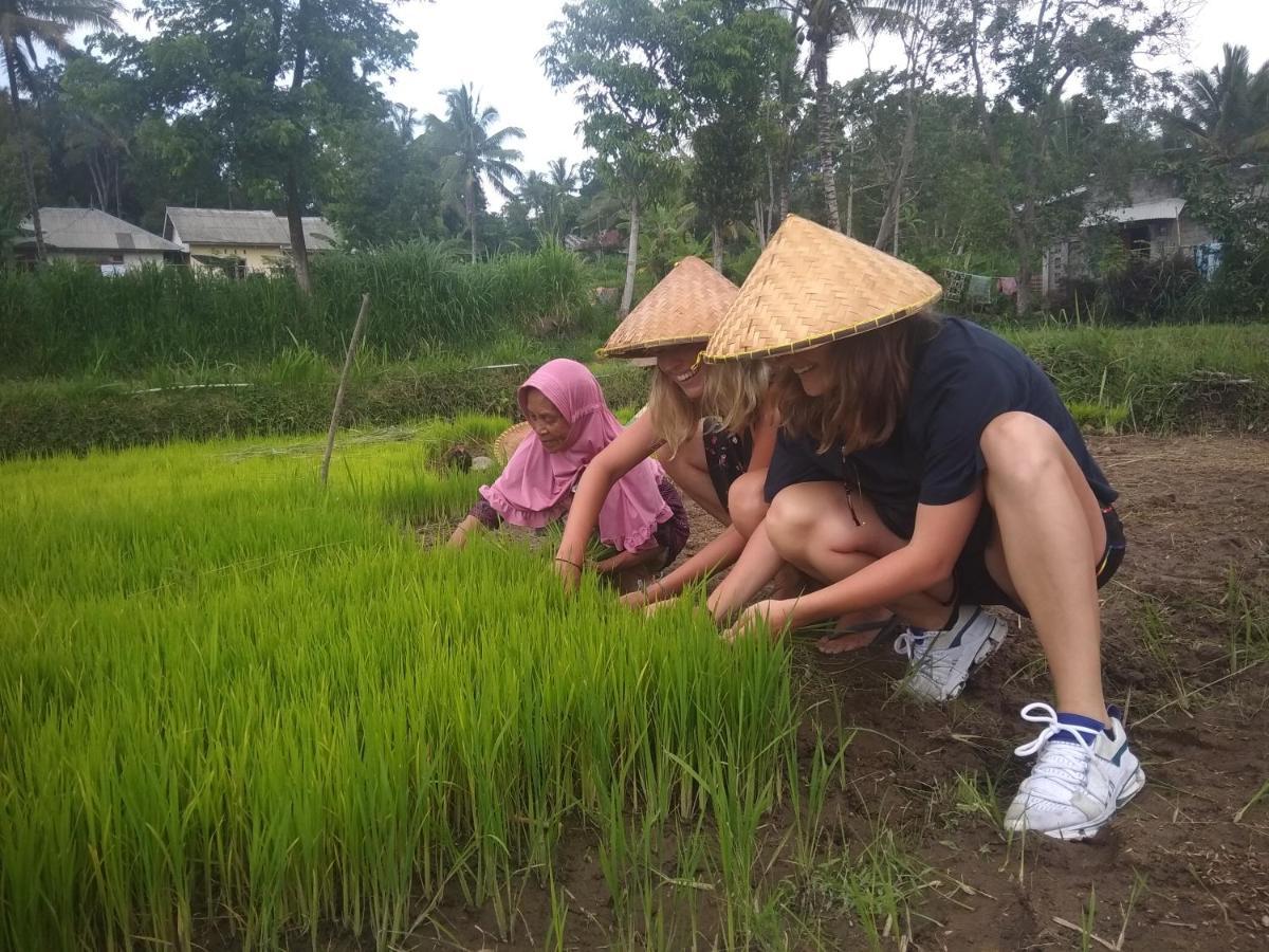 Wina Wani Bungalows Tetebatu Luaran gambar