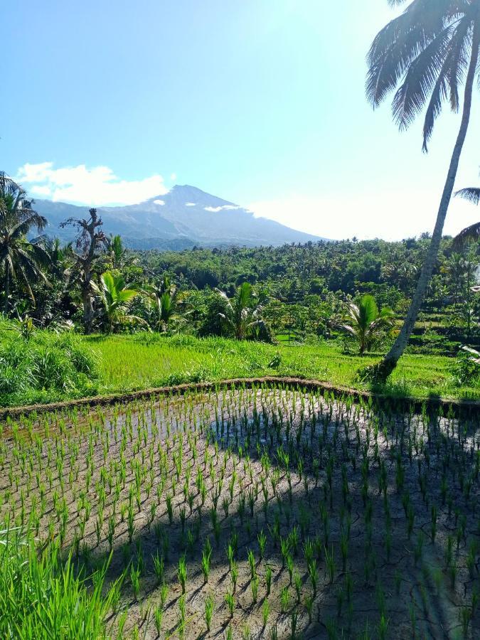 Wina Wani Bungalows Tetebatu Luaran gambar