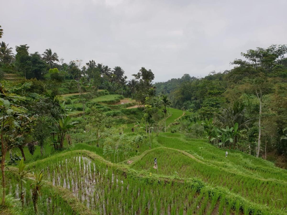 Wina Wani Bungalows Tetebatu Luaran gambar