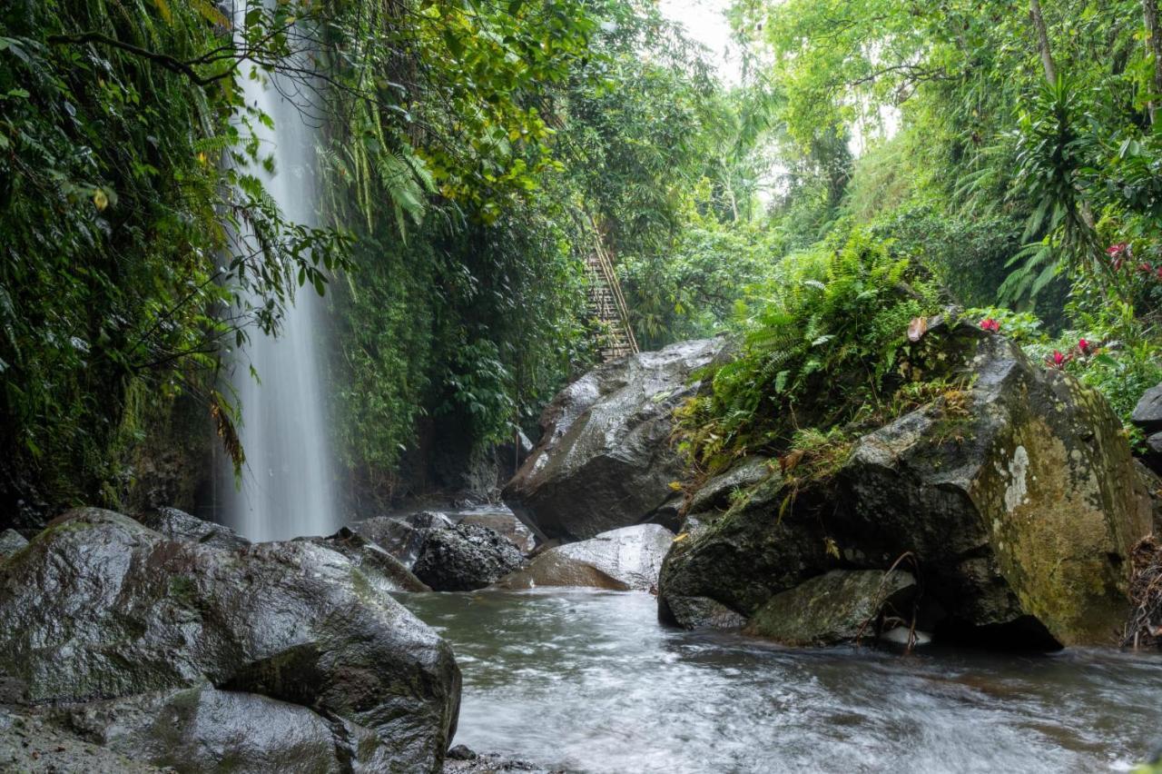 Wina Wani Bungalows Tetebatu Luaran gambar